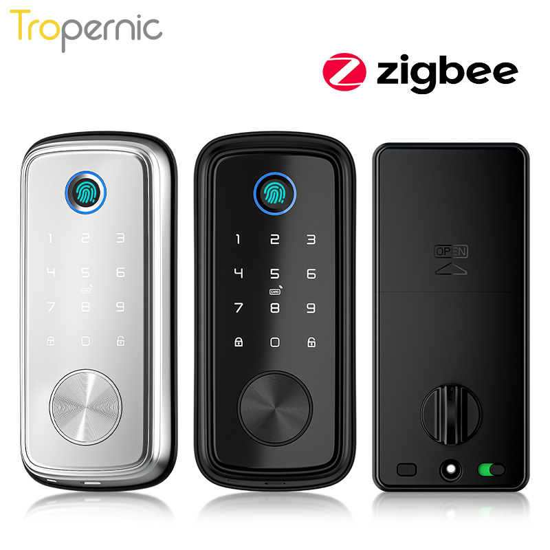 Smart Door Lock Wifi - Tuya ZigBee Tür Riegel Schlösser biometrische
