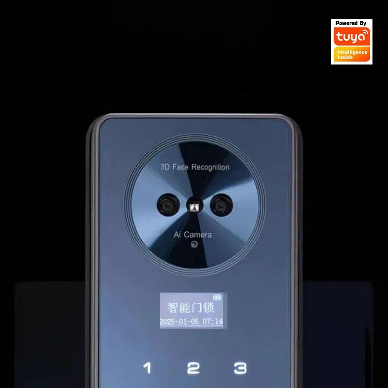 Smart Lock Gesichtserkennung A – Smart Door Lock Wifi Bewertung und Preis