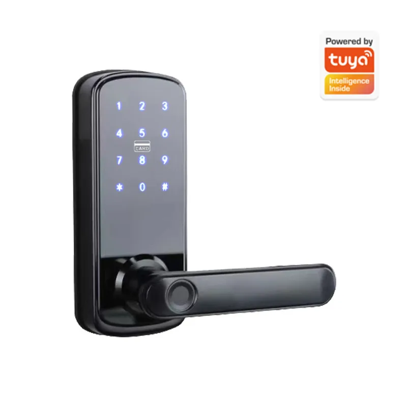 Einzelzungen-Passwort-Fingerab – Smart Door Lock Wifi Bewertung und Preis