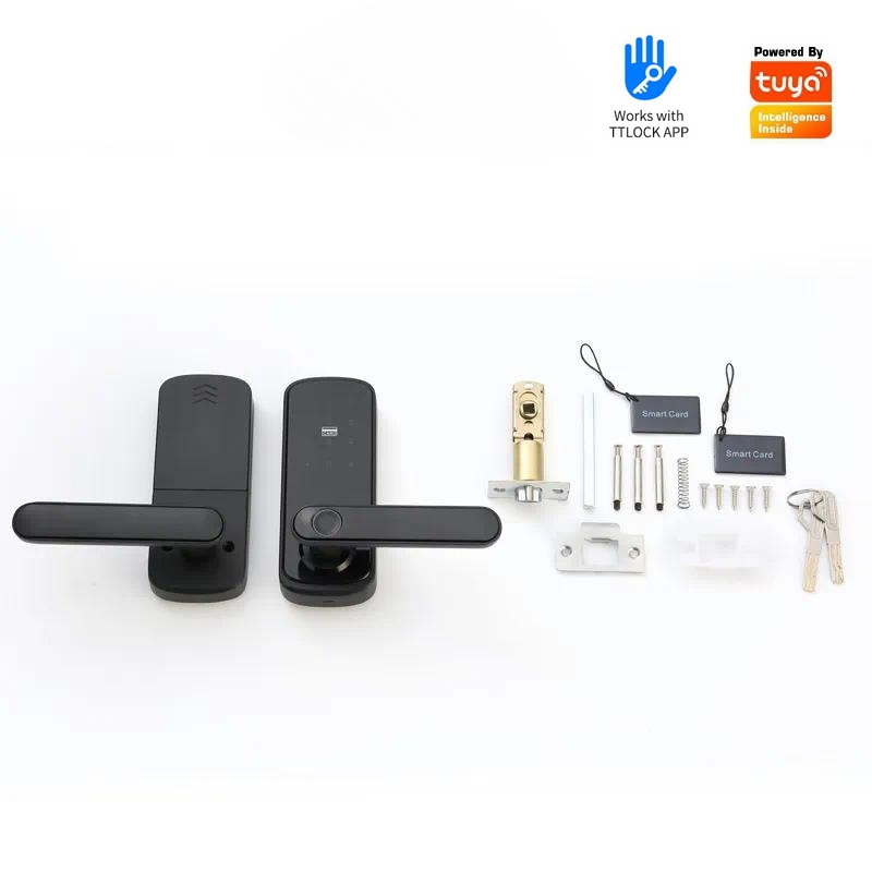 Tuya Wiif Passwort-Fingerabdru – Smart Door Lock Wifi Bewertung und Preis